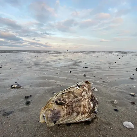 Im Dikwai B, Dikwai, Rantum * Sylt